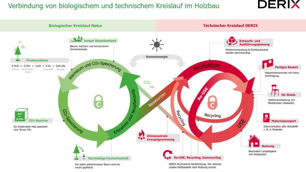 Grafik: Doppelter Kreislauf. Verbindung von biologischem und technischem Kreislauf im Holzbau.